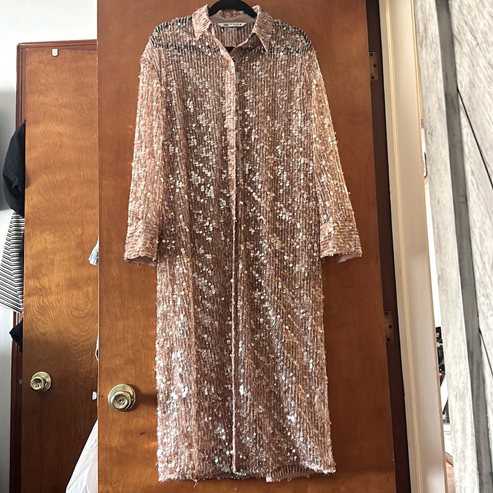 Sequined Sheer Button Down dress